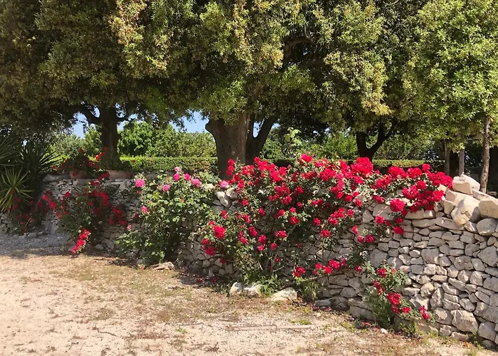 Ai Pilieri Di Bagnoli
