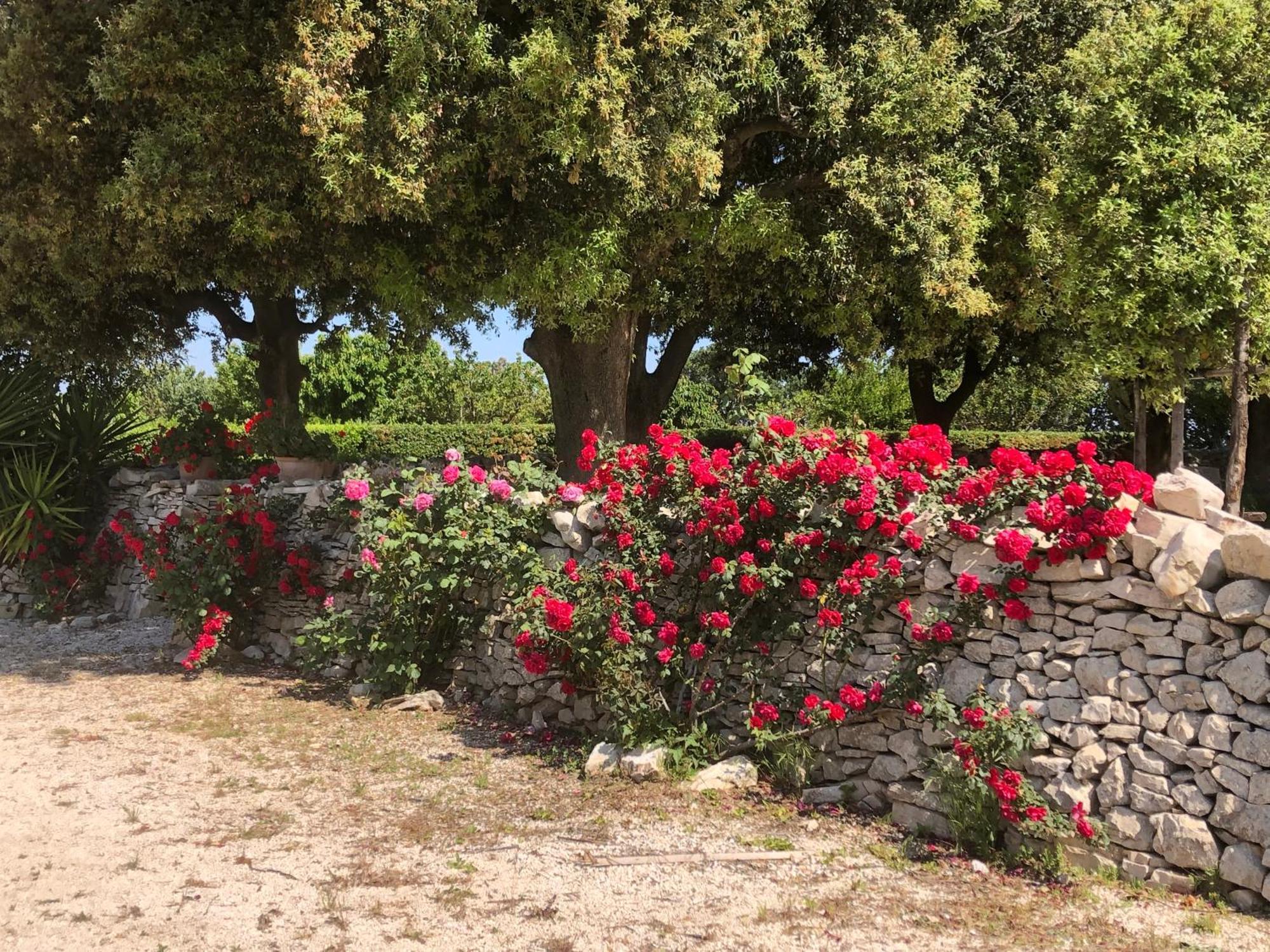 Farm stay Ai Pilieri Di Bagnoli Castel Del Monte (Apulia)