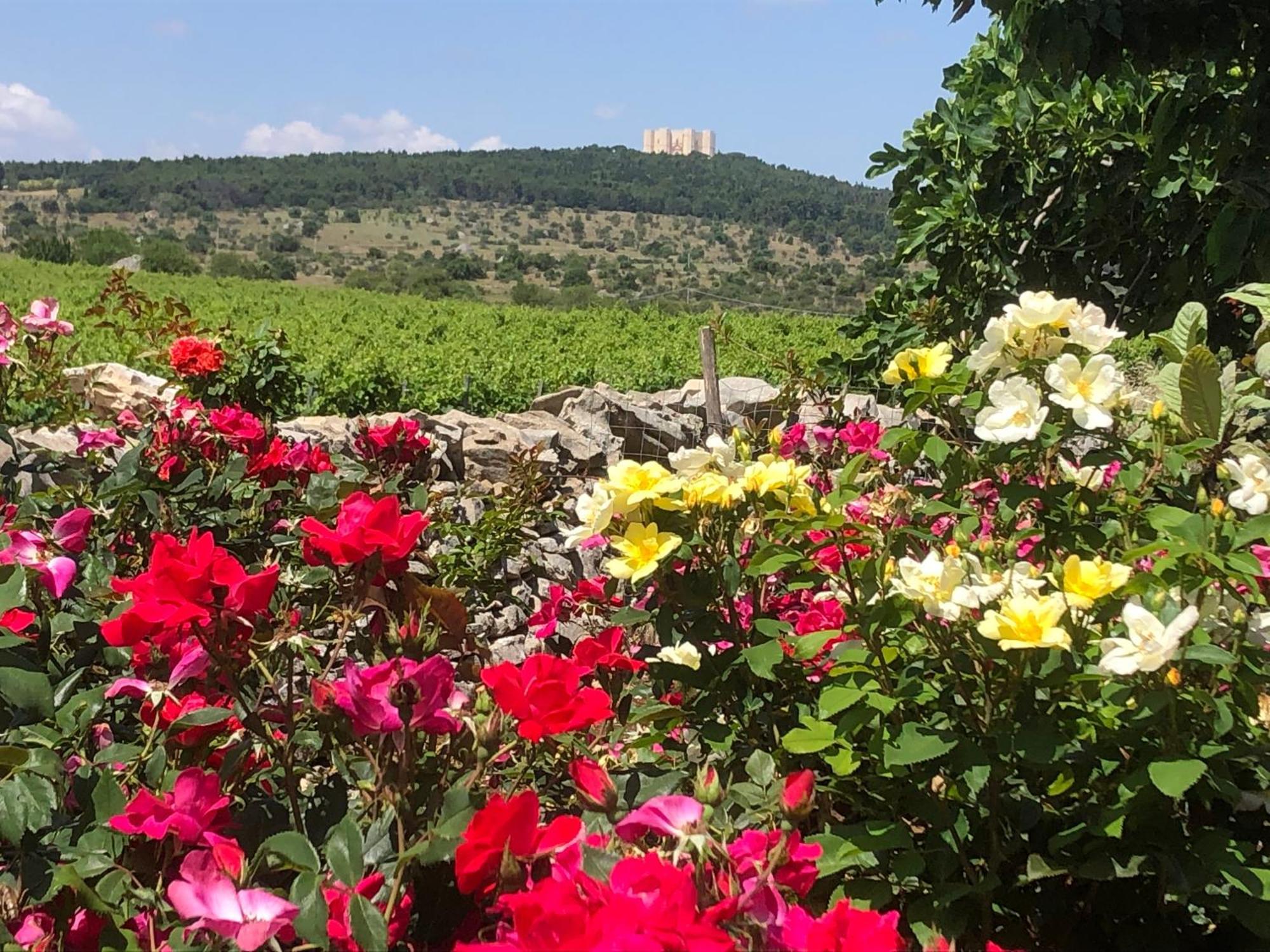 Ai Pilieri Di Bagnoli Farm stay
