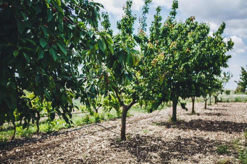 Farm stay Ai Pilieri Di Bagnoli