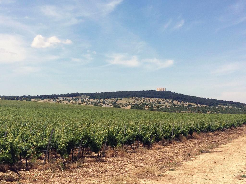 Farm stay Ai Pilieri Di Bagnoli